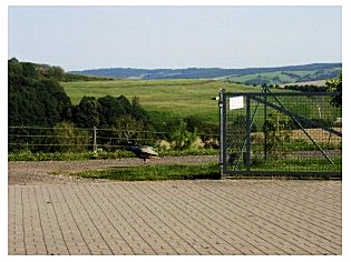 Gasthof Falkenblick Witzenroda-Thür.